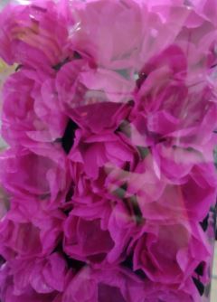 Forminha Decorativa La Fleur Pink 30 Unidades
